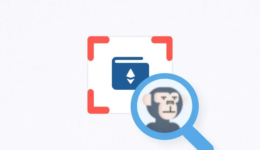 Magnifying glass highlighting an NFT in a wallet for automatic DeFi/NFT detection.